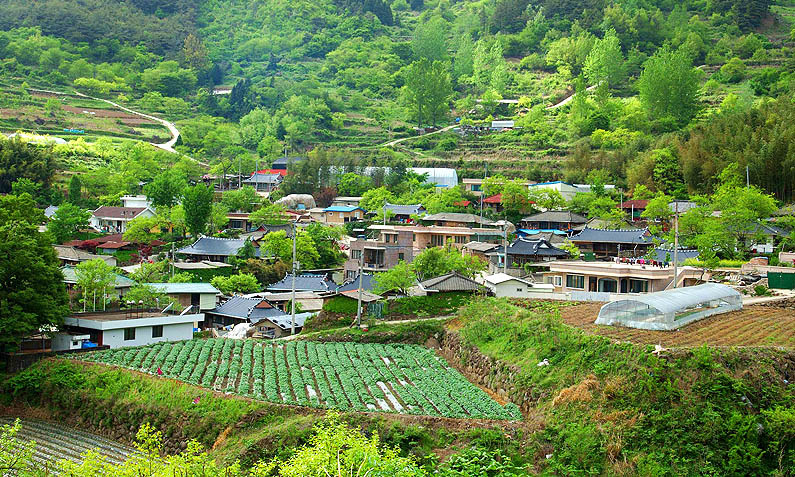 산척마을 이미지