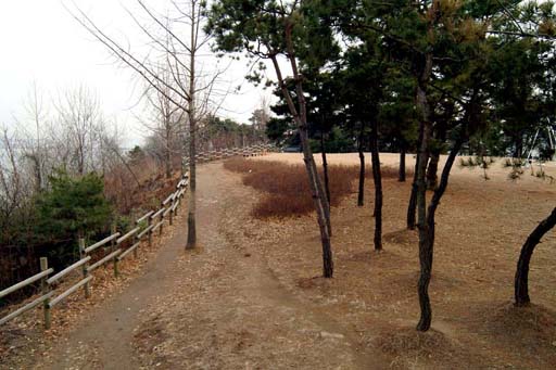 고성지 이미지
